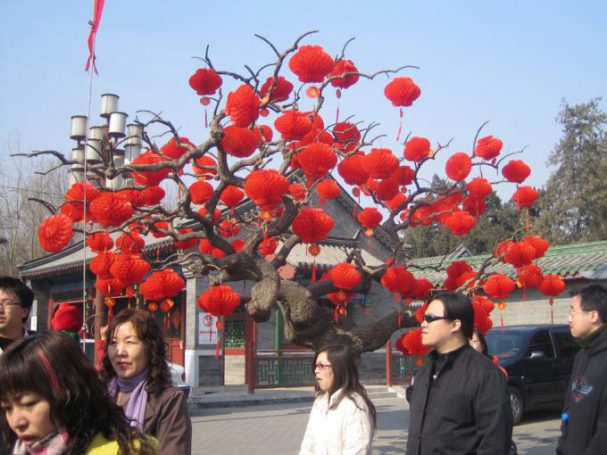 expo-nll-ans-relations-international-chunjie_parc_ditan_1