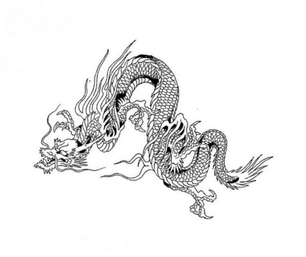 spectacle-2012-maison-culture-dragon-chinois_biais_0